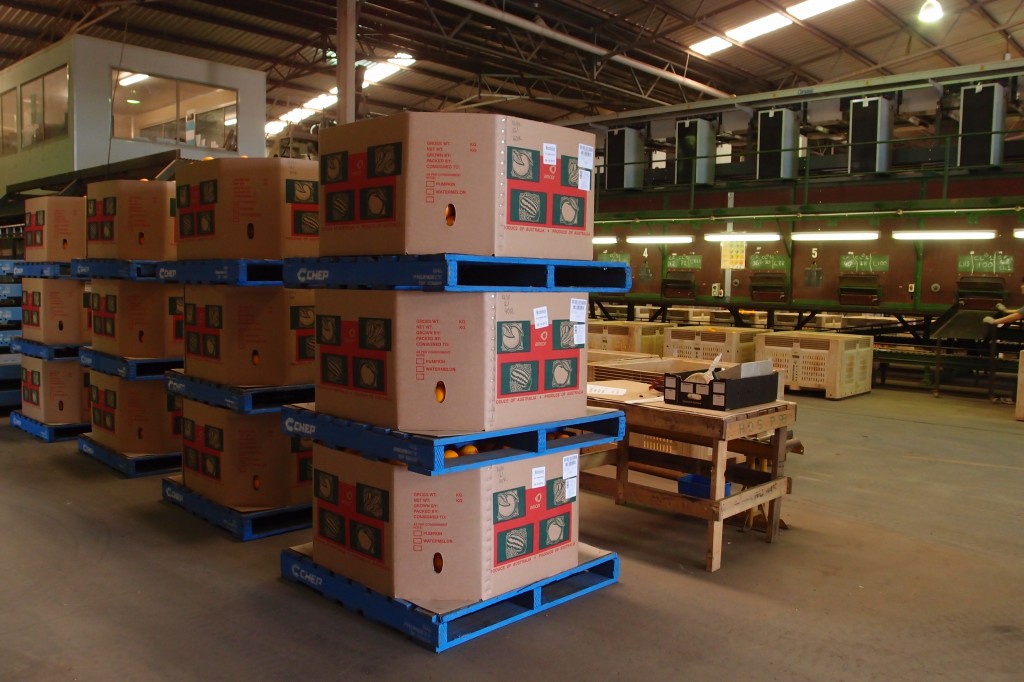 Packing Facility 